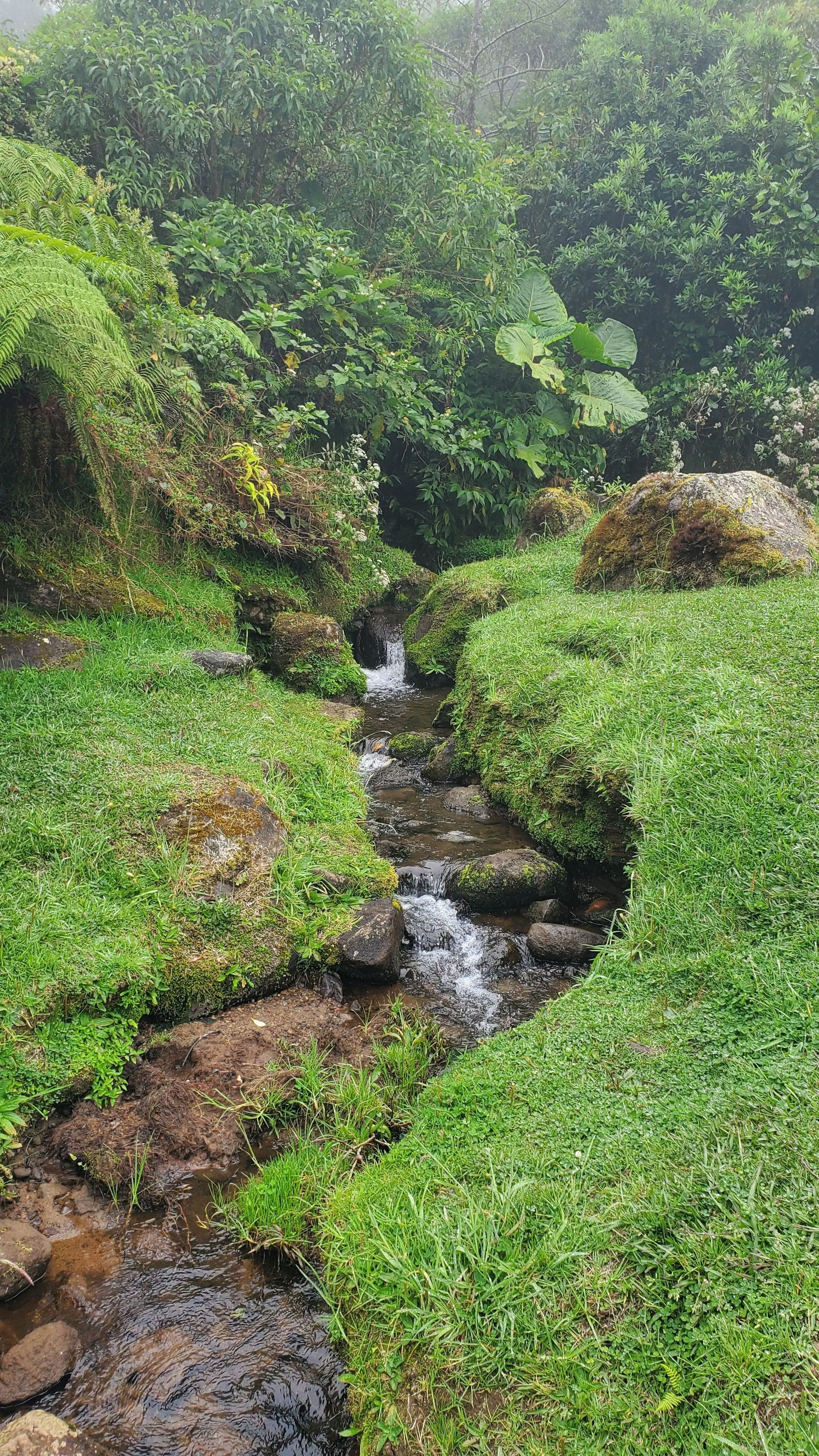Termales de Santa Rosa de Cabal